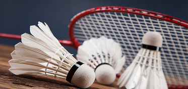 Progetto MARABADMINTON