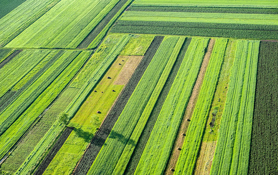 I giovani stranieri imparano l’arte di coltivare la terra