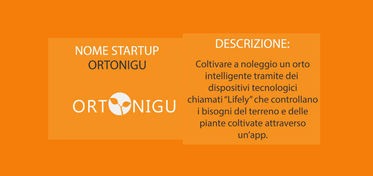 Ortonigu