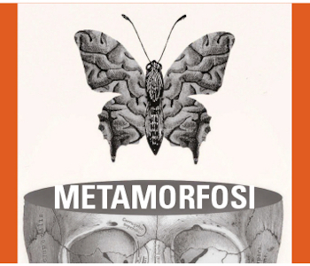 presentazione del libro Metamorfosi