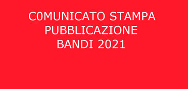 Comunicato stampa Fondazione di Sardegna, pubblicati i bandi annuali 2021