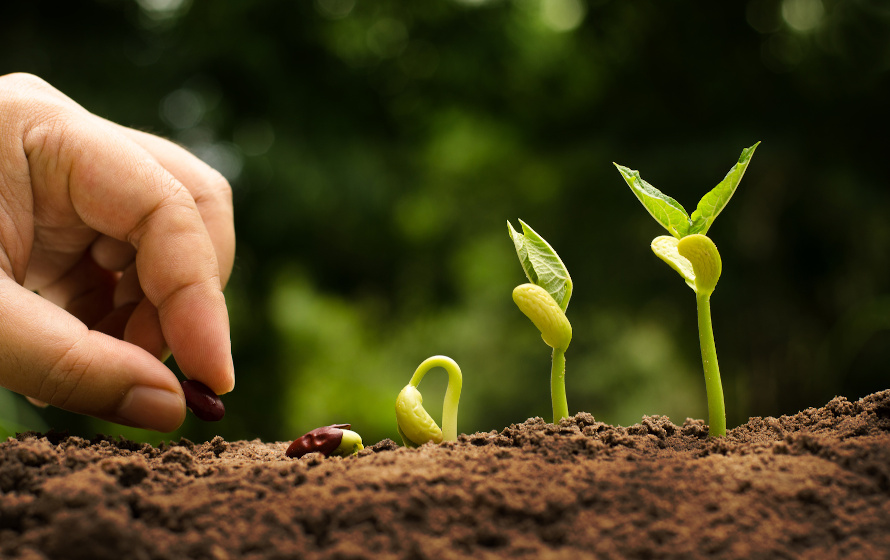 Inclusione sociale, avviato il progetto “Orti sinergici, inclusione lavorativa dei disabili in agricoltura” 