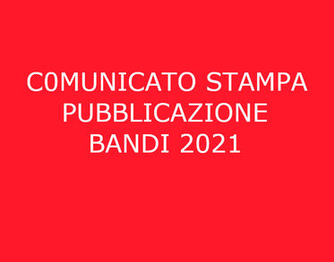 Comunicato stampa Fondazione di Sardegna, pubblicati i bandi annuali 2021