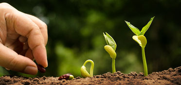Inclusione sociale, avviato il progetto “Orti sinergici, inclusione lavorativa dei disabili in agricoltura” 