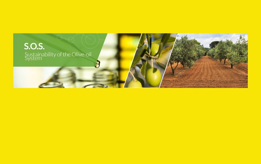 “S.O.S.”, Progetto Ager sulla sostenibilità nella filiera olivicola