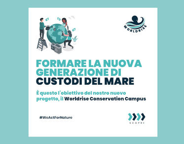 “Worldrise Conservation Campus”, a Golfo Aranci un corso per la tutela del mare 