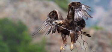 Museo di arte ambientale, due nuove mostre fotografiche al Limbara