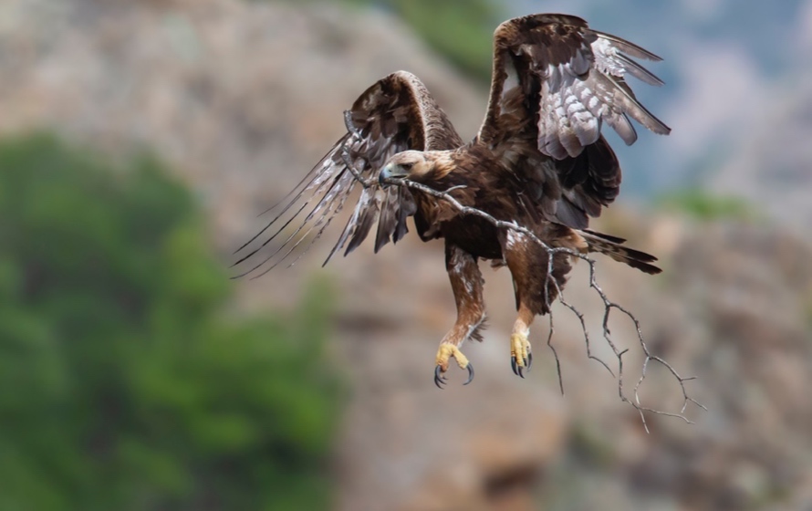 Museo di arte ambientale, due nuove mostre fotografiche al Limbara