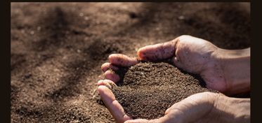 Progetto Ager, pubblicato il bando per la rinascita del suolo e dell’agroalimentare italiano 