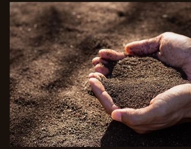 Progetto Ager, pubblicato il bando per la rinascita del suolo e dell’agroalimentare italiano 