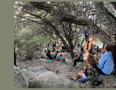 Organica, i nuovi appuntamenti dedicati all’arte, alla musica e all’ambiente 