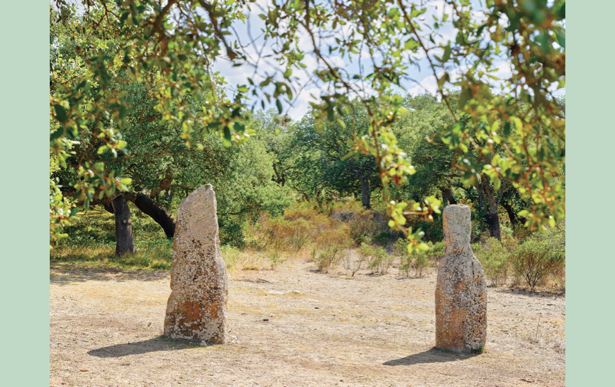 Twelve ee h s nine, le fotografie di Olivo Barbieri al MAN di Nuoro per AR/S