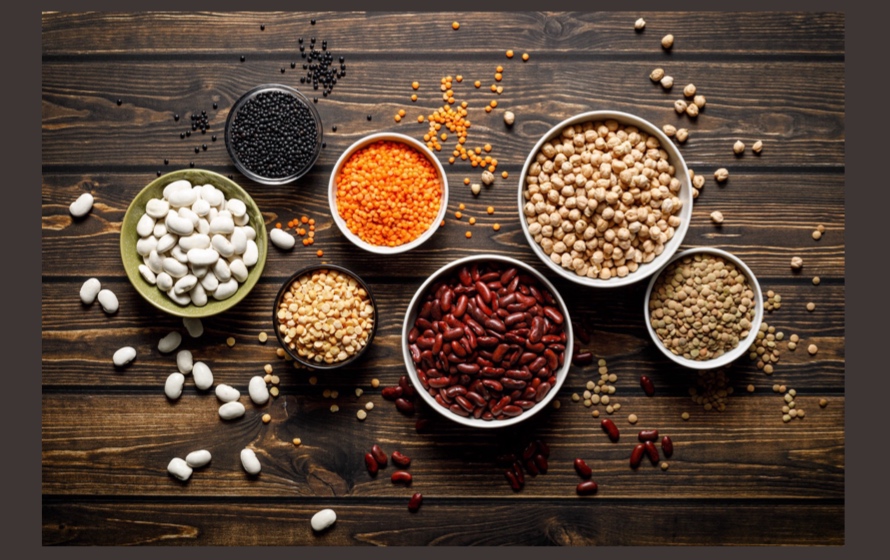Progetto Ager, 30 progetti candidati al bando sulle colture proteiche per un’alimentazione sostenibile
