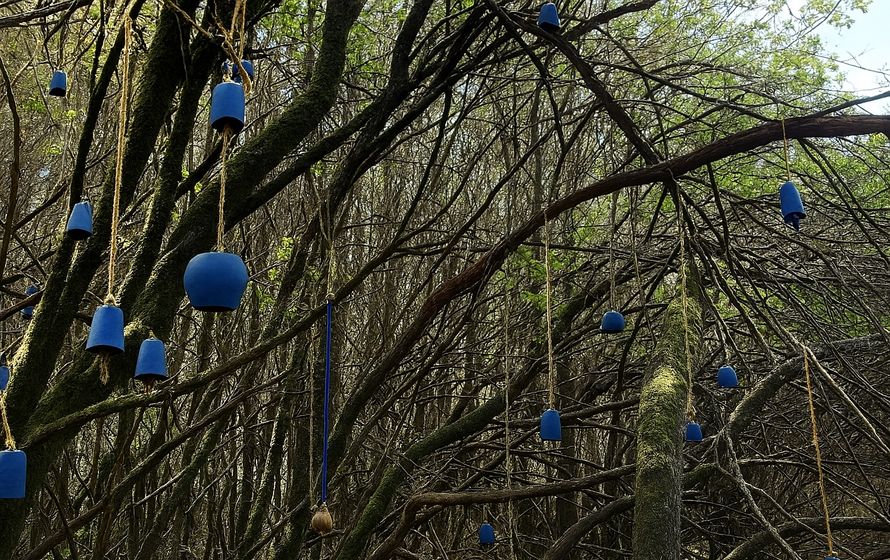 Arte e natura si incontrano sul Limbara, inaugura il percorso “Acquamontana”