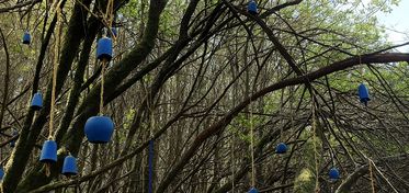 Arte e natura si incontrano sul Limbara, inaugura il percorso “Acquamontana”
