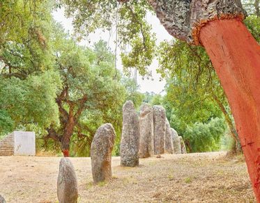 Viaggio in Sardegna. The Photo Solstice 2018–2025 in mostra all’Istituto Italiano di Cultura di Miami