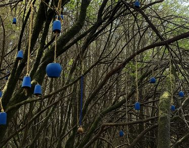 Arte e natura si incontrano sul Limbara, inaugura il percorso “Acquamontana”