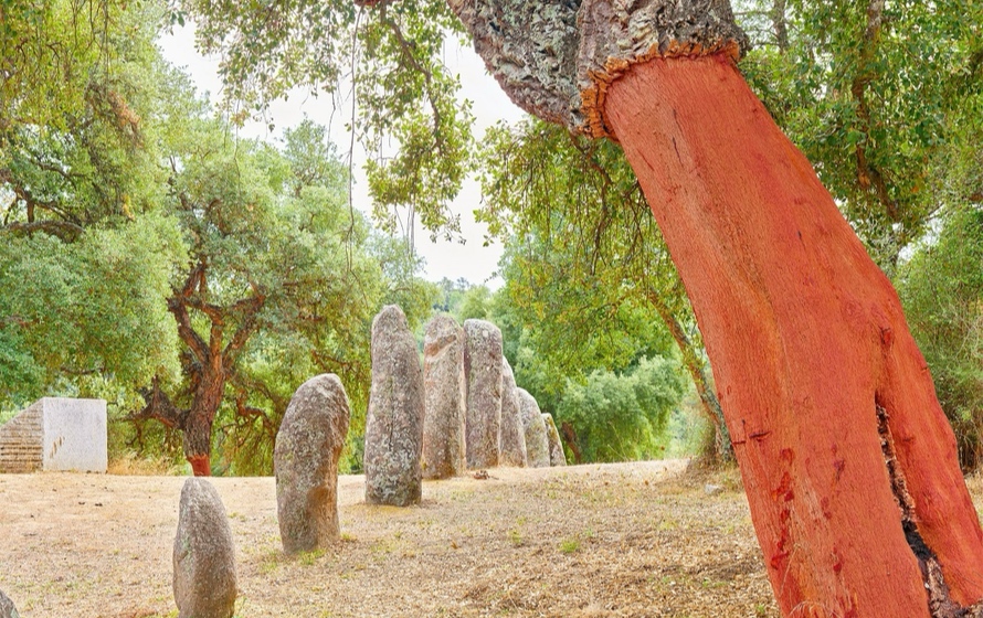Viaggio in Sardegna. The Photo Solstice 2018–2025 in mostra all’Istituto Italiano di Cultura di Miami