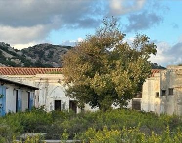 Biennale di Resilienza, Arte e Paesaggio all’Asinara, installazioni, workshop e performance per riflettere su sostenibilità e inclusione