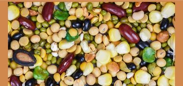 Progetto AGER, finanziati tre progetti di ricerca sulle colture proteiche