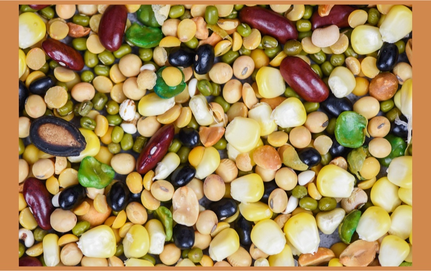 Progetto AGER, finanziati tre progetti di ricerca sulle colture proteiche