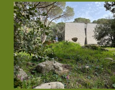 Museo Organica, due nuove opere d’arte nel Bosco di Curadureddu a Tempio Pausania