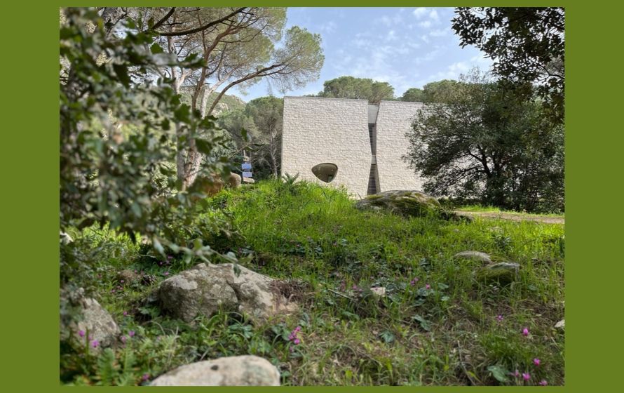 Museo Organica, due nuove opere d’arte nel Bosco di Curadureddu a Tempio Pausania