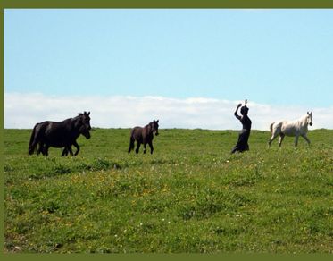 L’Asinara tra storia e danza nello spettacolo La Burattina di Stato