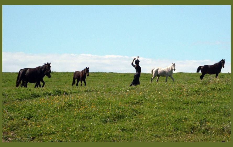 L’Asinara tra storia e danza nello spettacolo La Burattina di Stato