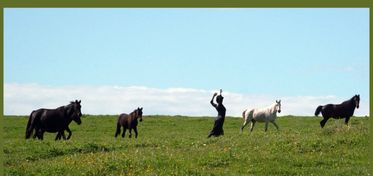 L’Asinara tra storia e danza nello spettacolo La Burattina di Stato