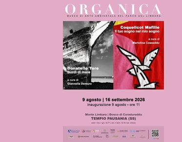 Museo Organica, due nuove mostre tra arte contemporanea e fotografia