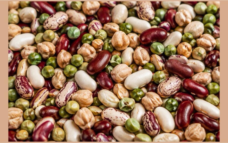 Progetto Ager, 30 progetti candidati al bando sulle colture proteiche per un’alimentazione sostenibile