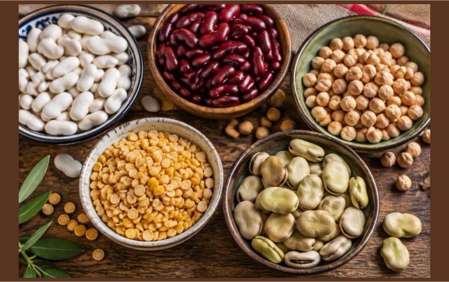 Ricerca agroalimentare, Ager lancia un bando da 1,5 milioni sulle colture proteiche